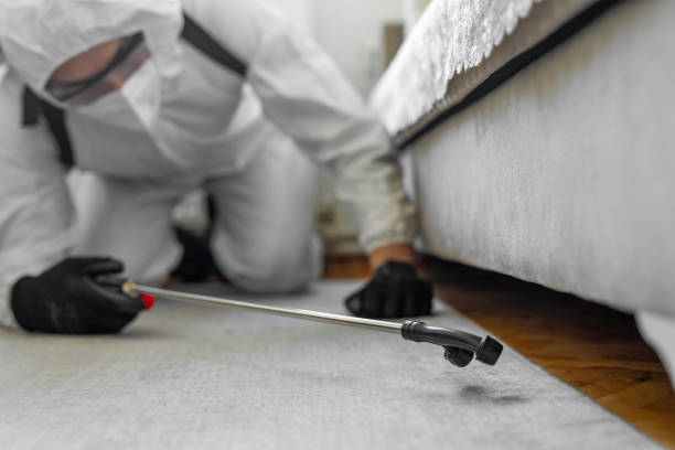 Professional Mosquito Control technician working in Baden, MD