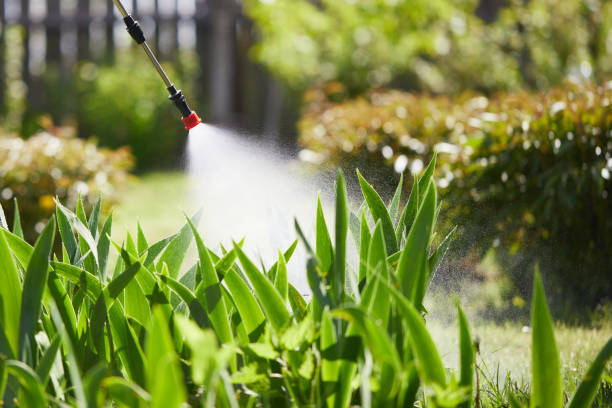 24/7 Emergency Mosquito Control experts in Baden, MD
