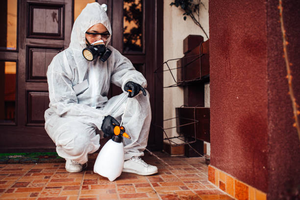 Reliable Mosquito Control contractor in Baden, MD by Nex Pest Control